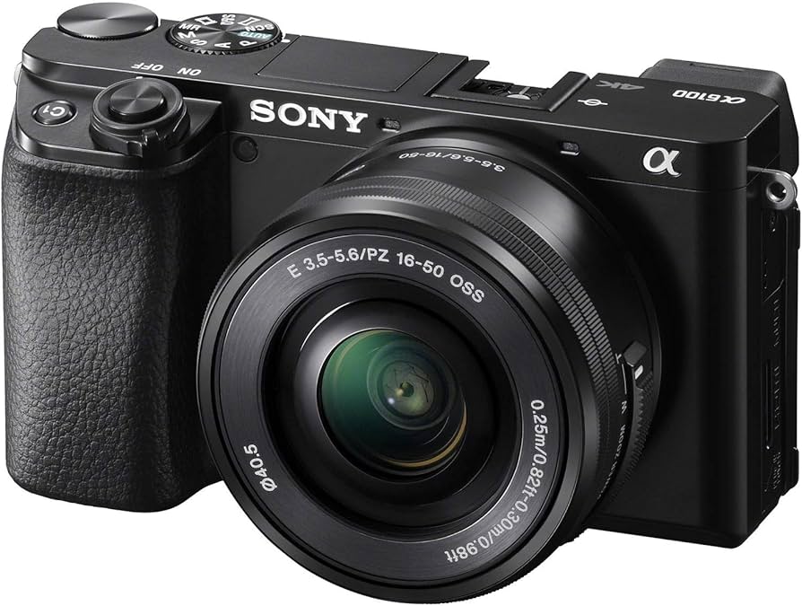 Sony a6100 Mirrorless Camera