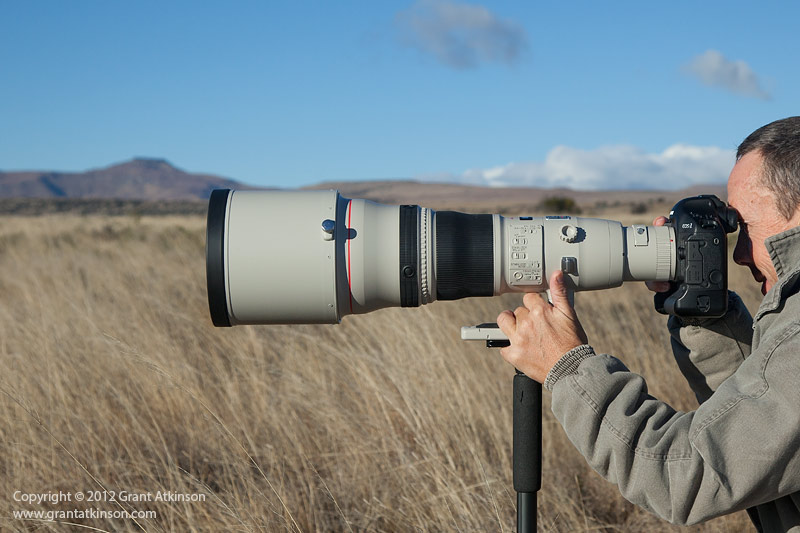 Canon EF 800mm f/5.6L IS USM Telephoto Lens