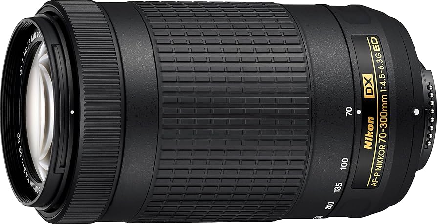 Nikon AF-P DX NIKKOR 70-300mm f/4.5-6.3G ED VR Lens