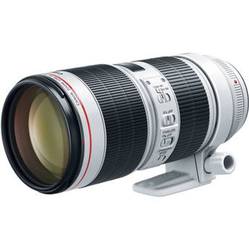 Canon EF 70-200mm f/2.8L IS III USM Telephoto Zoom Lens