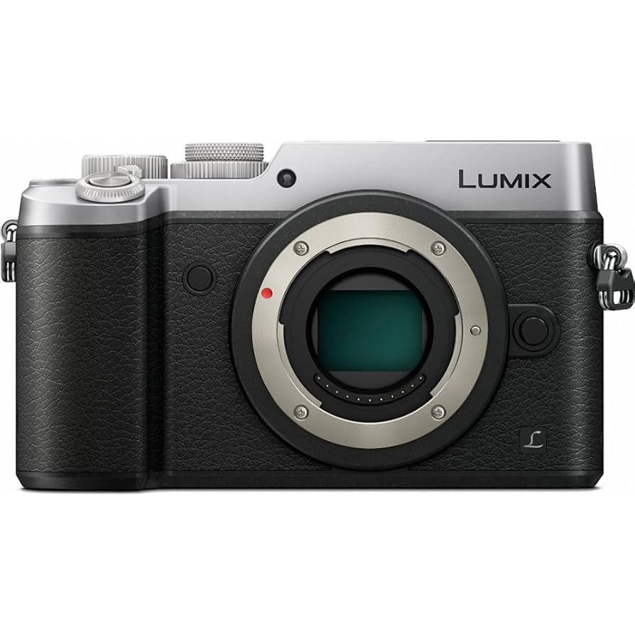 Panasonic LUMIX GX8 Mirrorless Camera