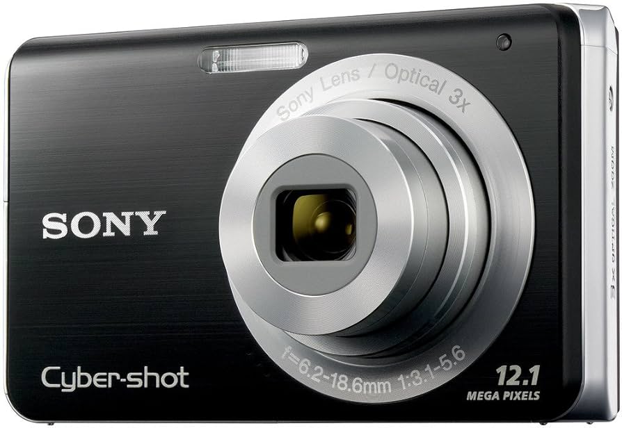 Sony Cyber-shot DSC-W190 Point & Shoot Camera