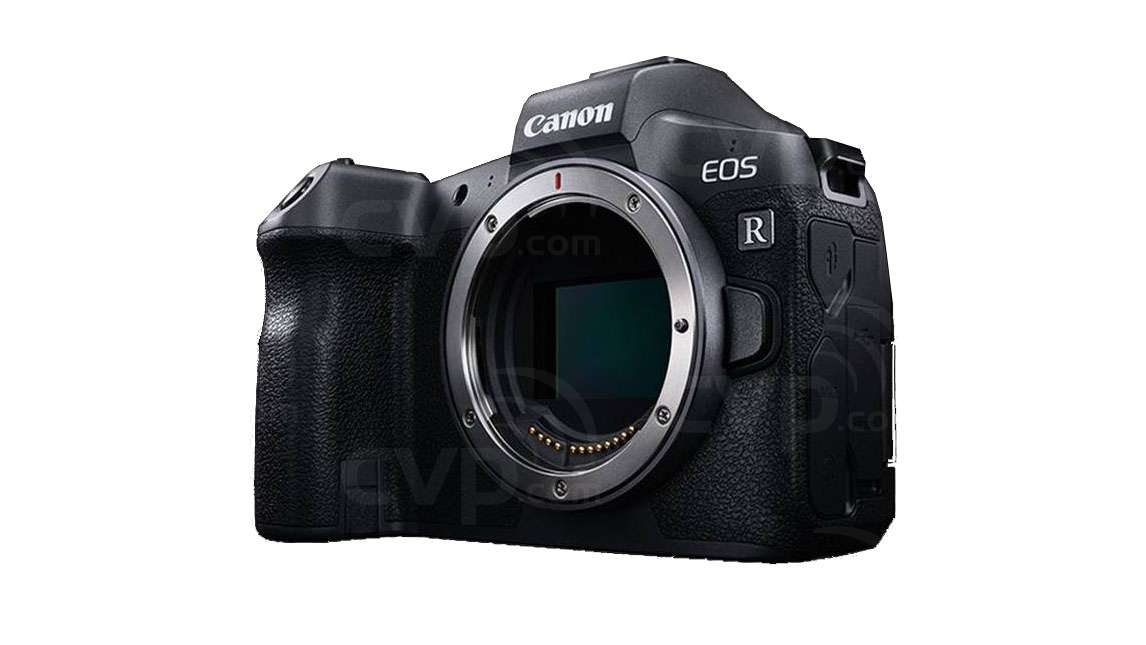 Canon EOS R Body Only | GearFocus