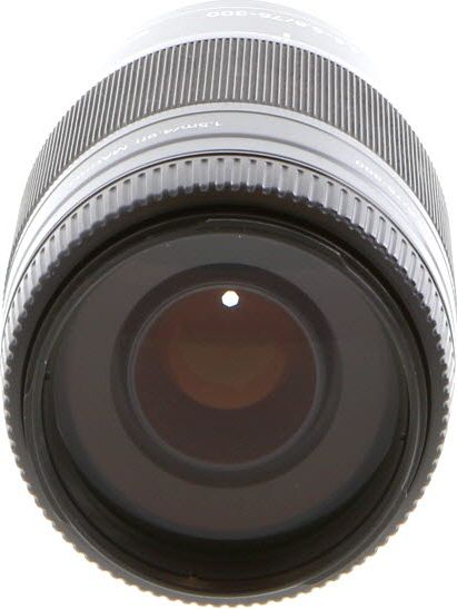 Sony SAL70300G Lens Used — For Sale, Specs & Reviews | GearFocus